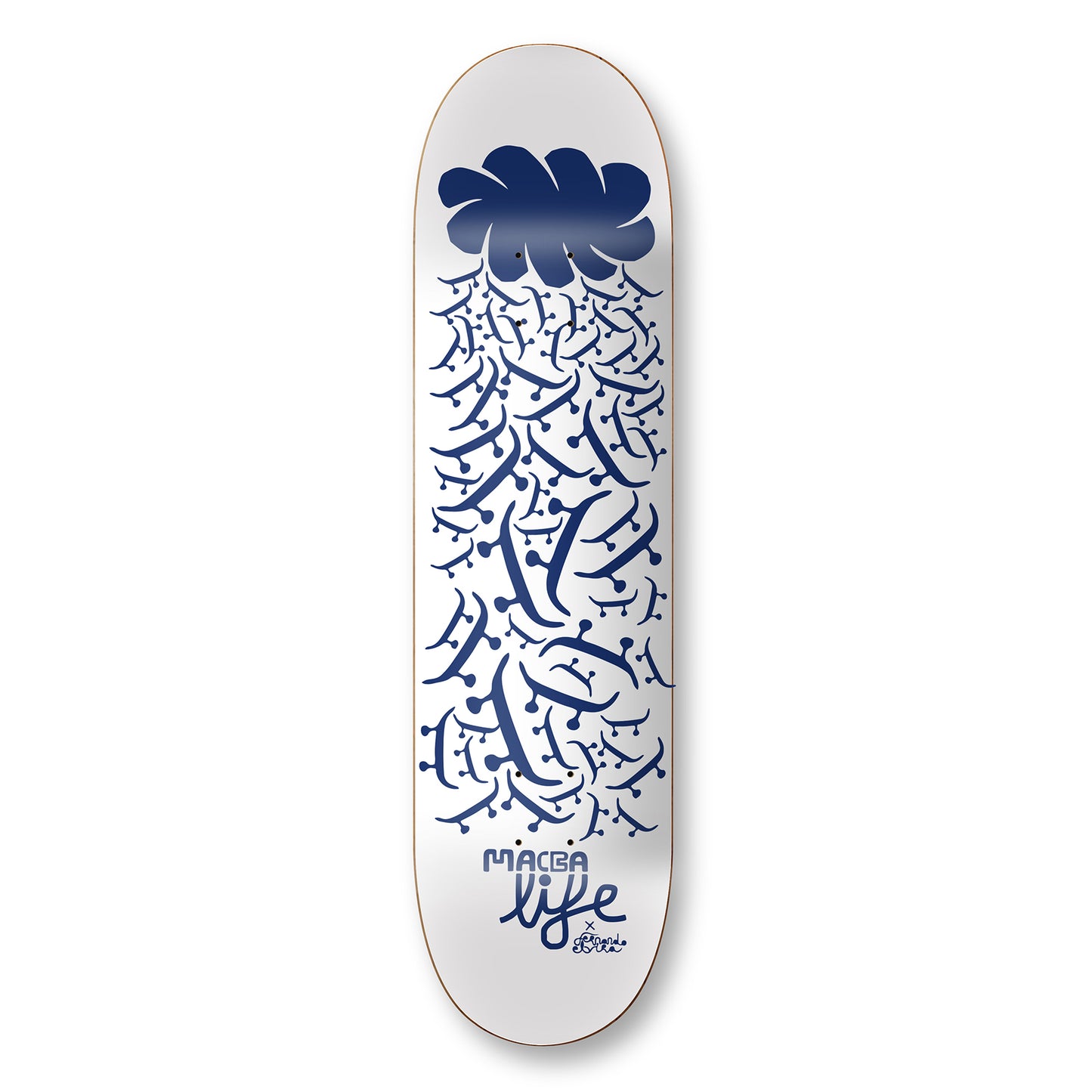Macba Life - Rain Fernando Elvira board 8.1
