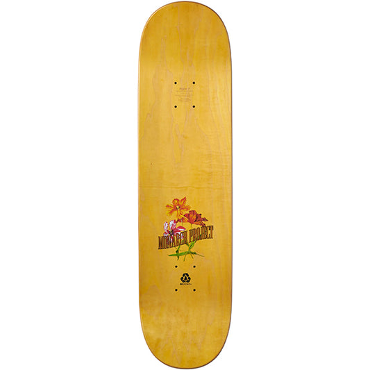 Monarch - Diego Najera 8.375